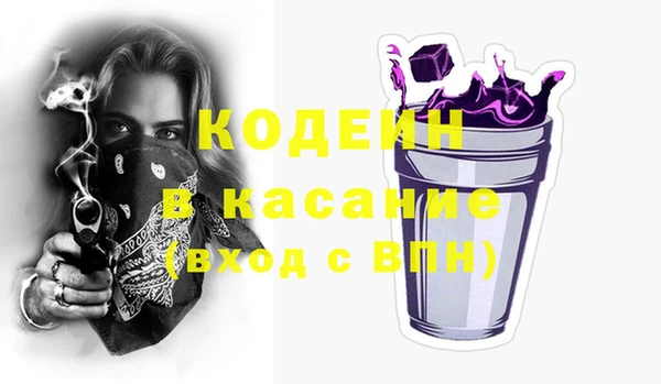 хмурый Гусев