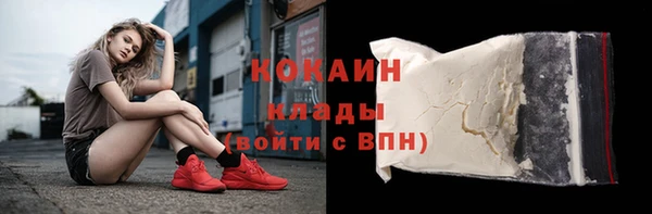 хмурый Гусев