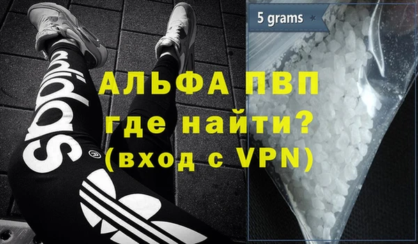 хмурый Гусев