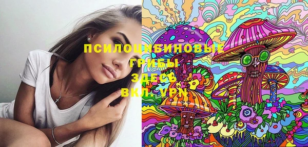 первитин Гусиноозёрск